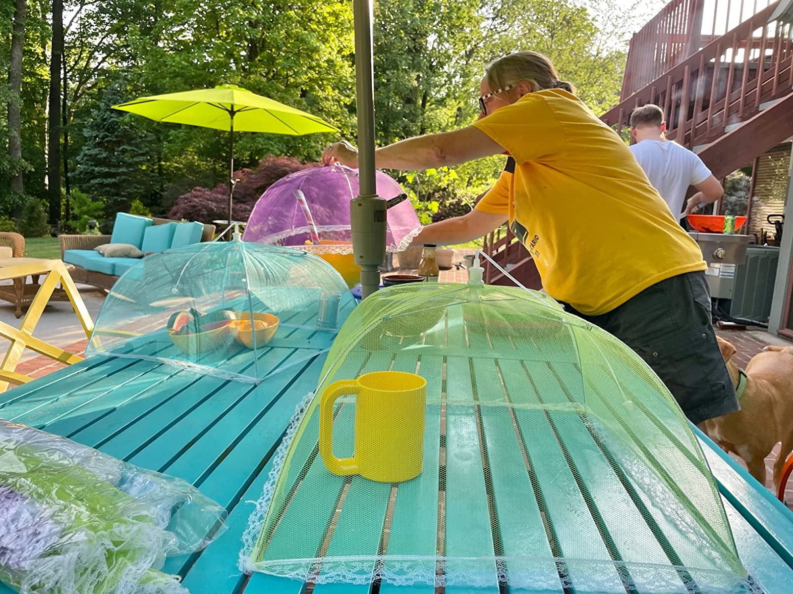 a reviewer photo of the tents sitting over food on a picnic table