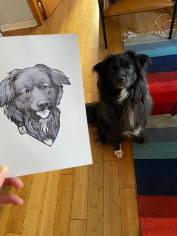 my dog poses with his illustration 