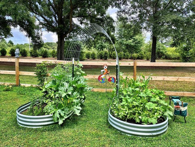 two of the galvanized garden beds side by side and filled with growing plants