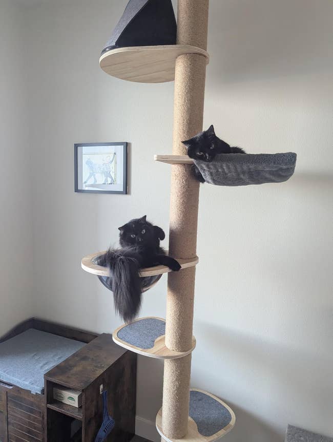 26 Products To Save Your Stuff From Playful Pets