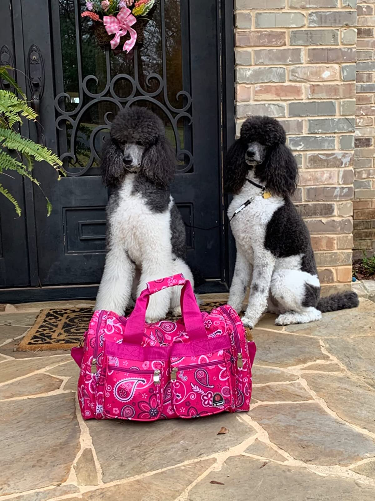 Poodles Dogs Pattern Backpack Travel Bags Bookbag,Lightweight Multi-Function Laptop Backpack