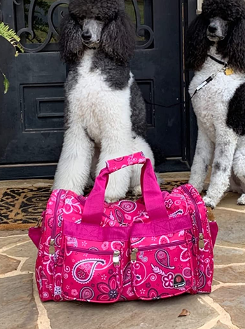 reviewer photo of the pink duffel bag in front of two dogs