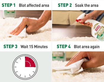 Guide for cleaning a carpet stain: blot the area, spray cleaner, wait 15 minutes, and blot again