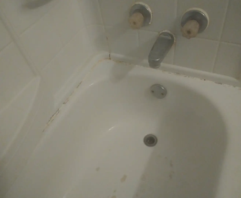 same reviewer's tub now looking cleaner after using wet and forget