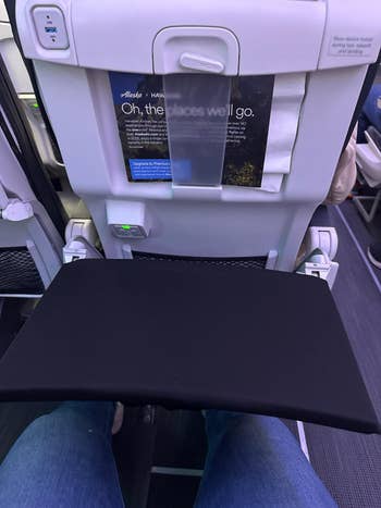 reviewer image of airplane pocket covering tray table 