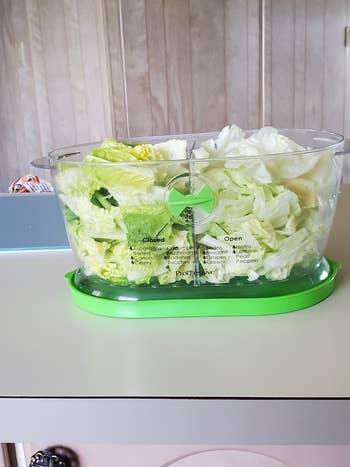 Plastic crockery spinner filled with chopped lettuce, resting connected a room counter
