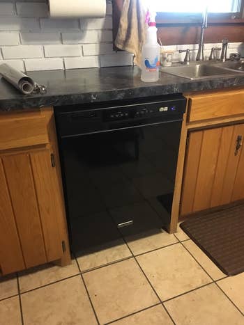 a reviewer's black dish washer