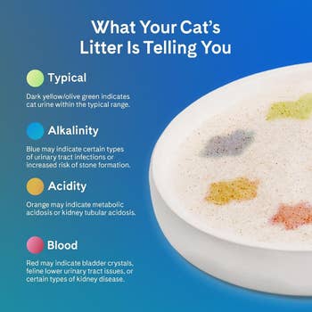 Infographic titled 