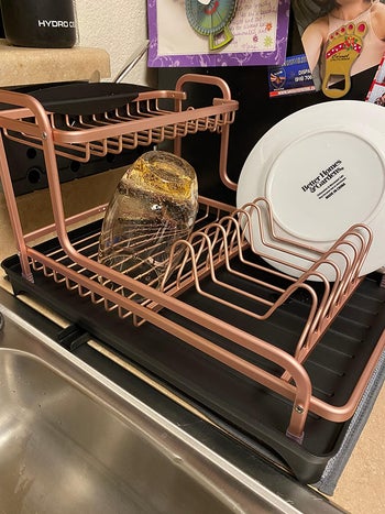 reviewer photo of pink dish rack next to sink