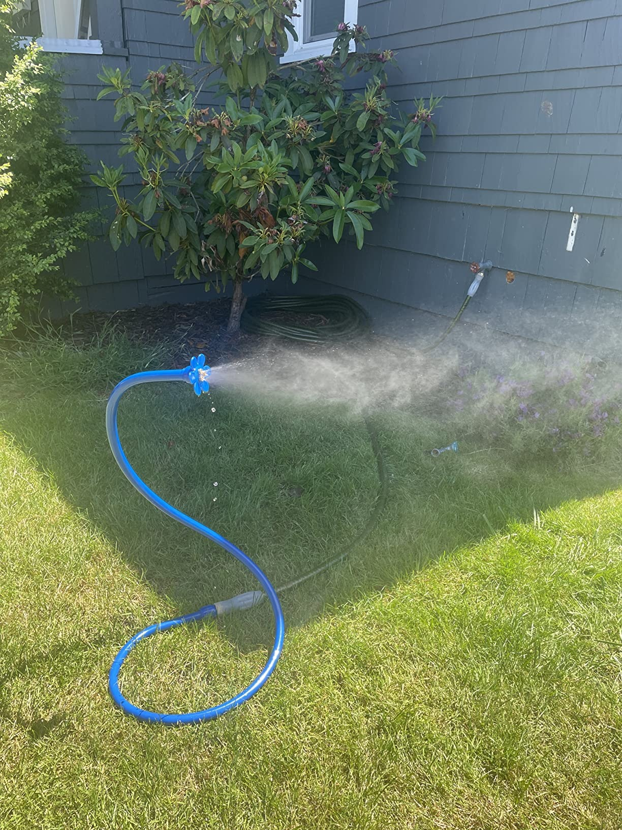Garden hose with a spray nozzle attached, watering writer  successful  a backyard mounting  adjacent   a location   with siding