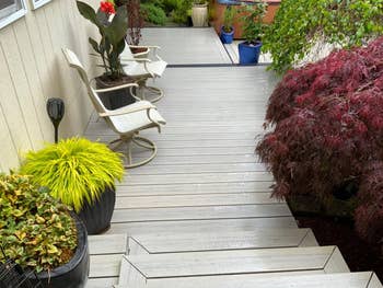 Outdoor platform  with potted plants, including a red-flowered works  and leafy bushes, alongside 2  beige chairs connected  the broadside  of a house