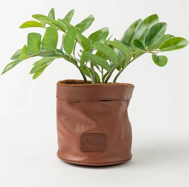 slouchy leather planter with plant inside