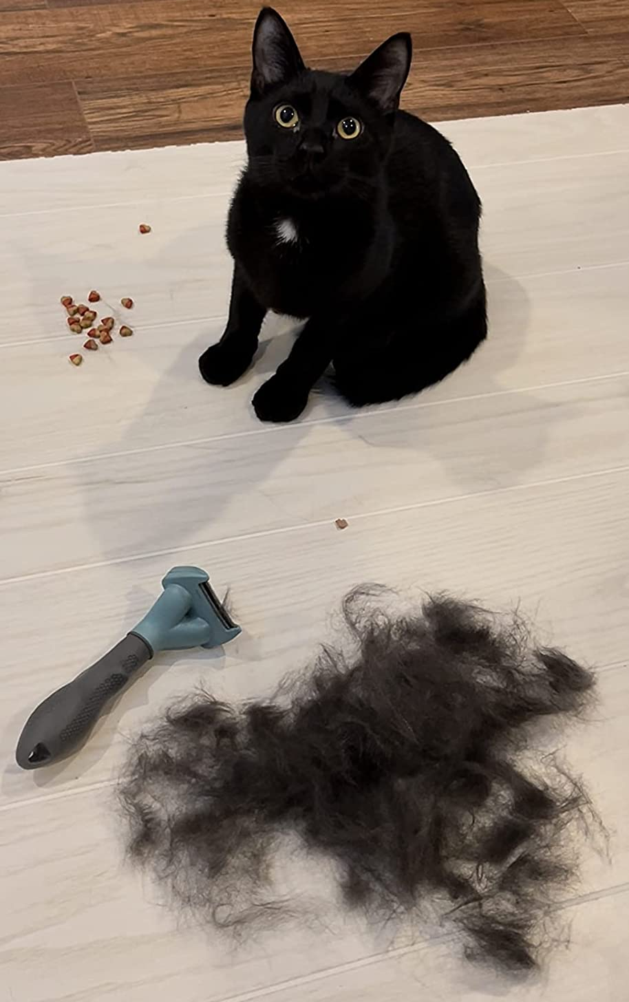 a small short haired black cat next to the slim furminator brush and a pile of fur removed