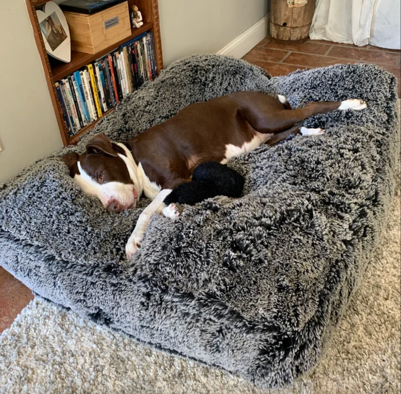 best dog bed for great dane