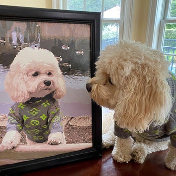 reviewer photo of white doggie looking at completed paint-by-numbers painting of himself