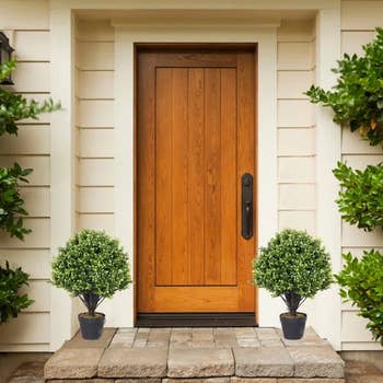 Front door with two potted topiary trees on a porch, suitable for home decor shopping focus