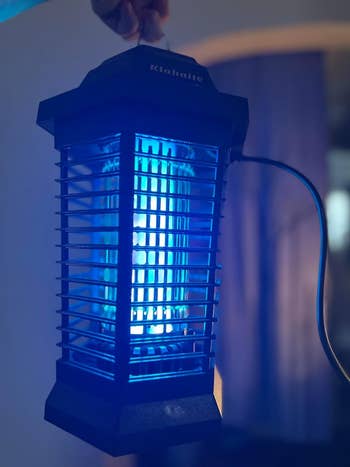Electric bug zapper lamp emitting blue light