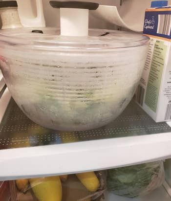 a reviewer photo of the salad spinner sitting inside a fridge 