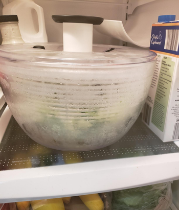 a reviewer photo of the salad spinner sitting inside a fridge 