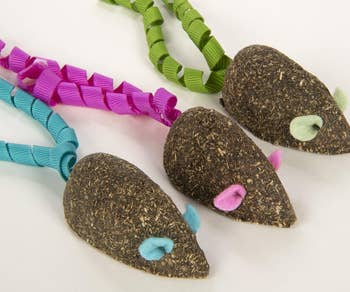 Three compressed catnip mouse toys