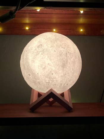 the moon lamp on its perch