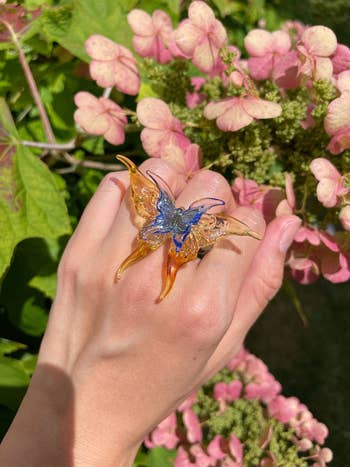 Close-up of a manus  wearing a ample  butterfly ringing  