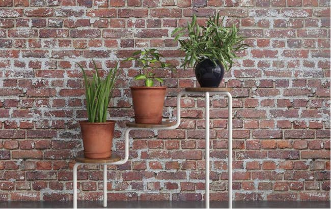 lifestyle image, three tiered plant stand with plants on it