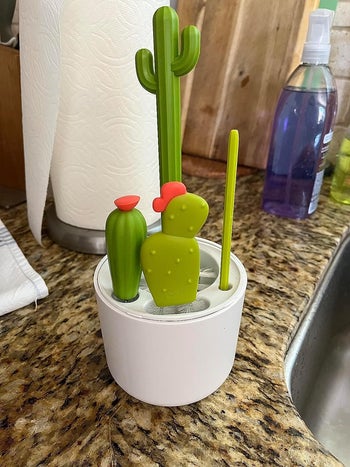 reviewer image of the bottle brush set