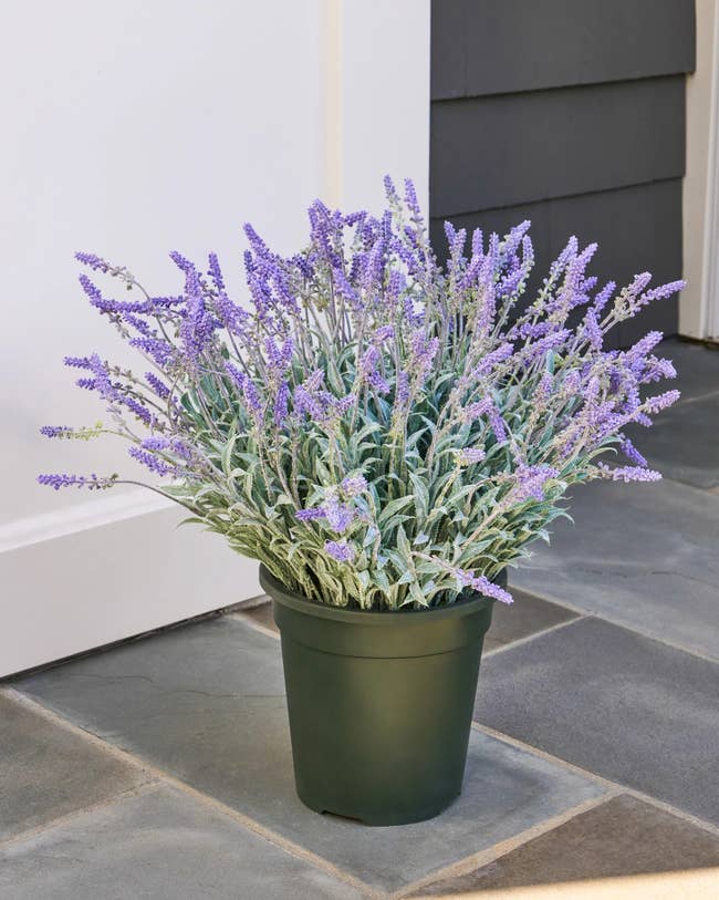 Potted faux lavender plant on a walkway 