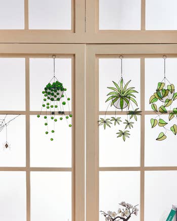 Three hanging indoor plants near a window, suitable for home decor