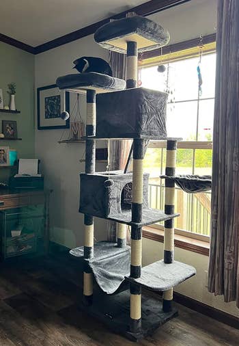 reviewer showing the XXL cat condo in gray placed in front of a window with cats playing on it