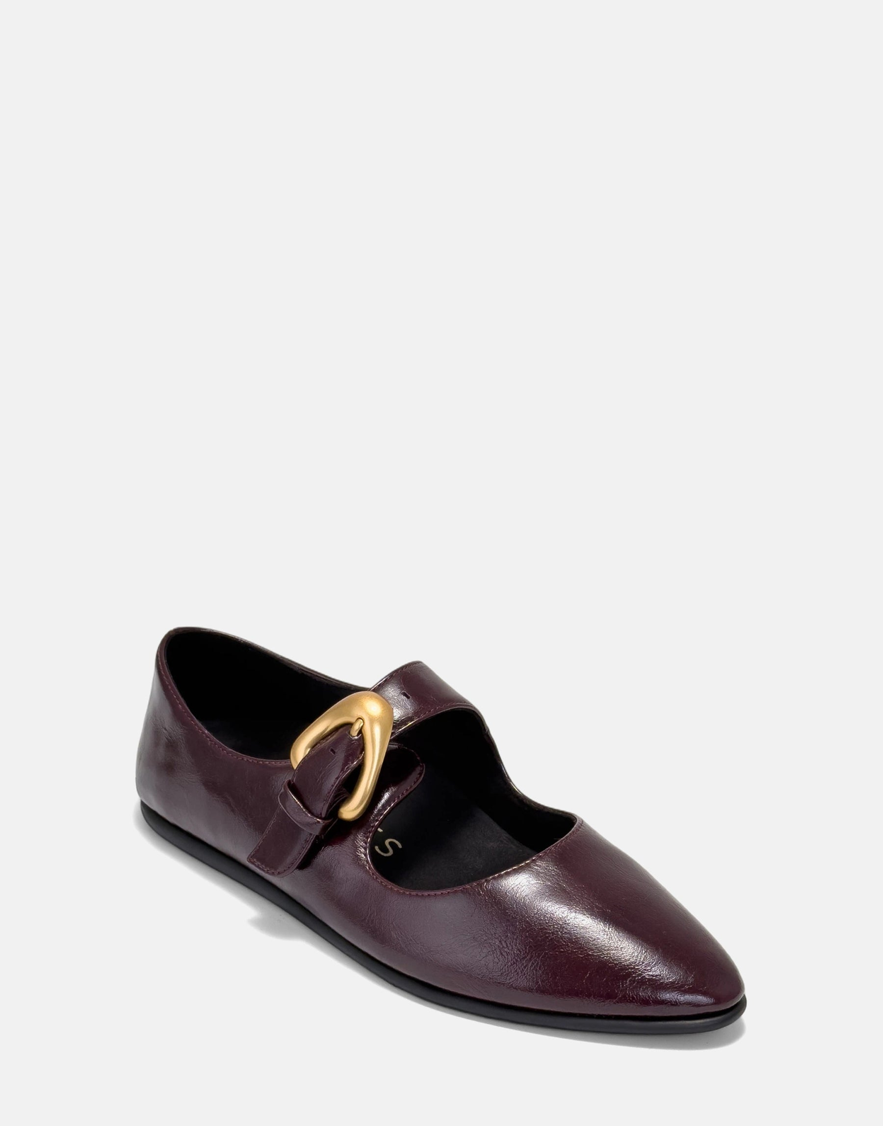Dark leather level  footwear  with a pointed toed  and a ample  golden  buckle connected  the strap, displayed against a plain background