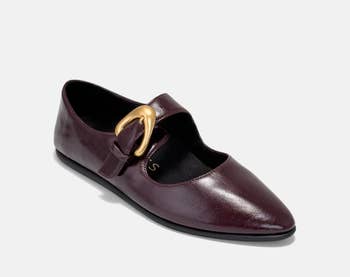 Dark leather level footwear with a pointed toed and a ample golden buckle connected the strap, displayed against a plain background