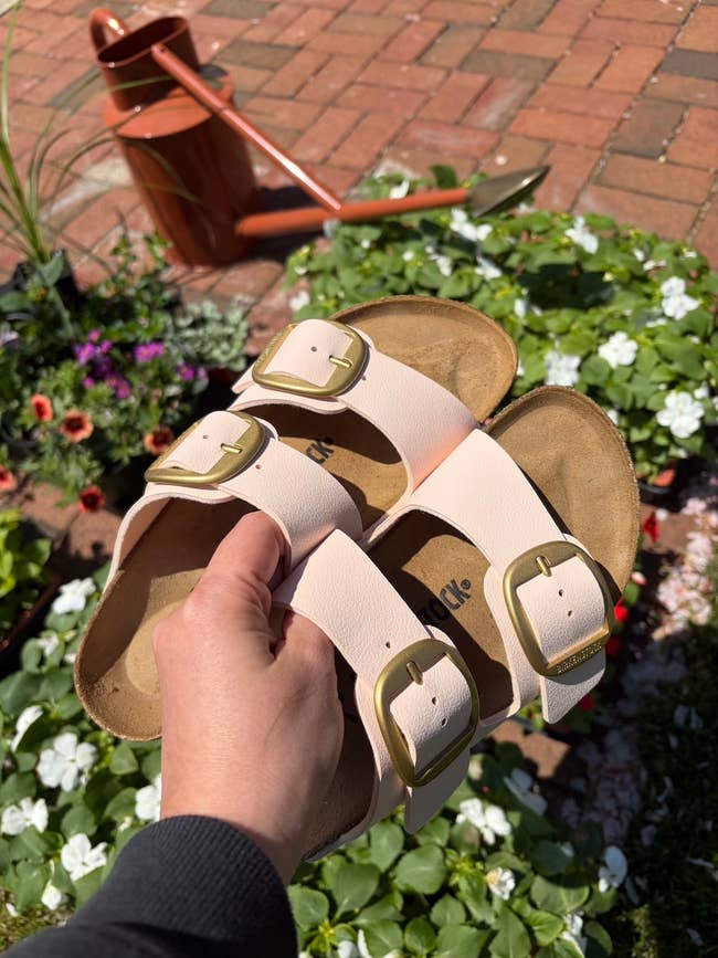Person holding a brace  of sandals with ample  buckles, surrounded by colorful flowers and a watering tin  successful  a plot  setting