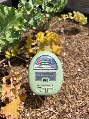 the soil moisture meter in a garden bed indicating low moisture