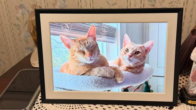 Two cats relaxing successful  a cozy furniture  by a window, displayed successful  a integer  photograph  framework  connected  a table