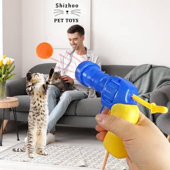 model using the ball launcher
