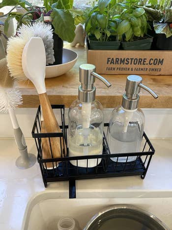 Countertop descend  organizer with crockery  brushes and soap dispensers. Box of herbs oregon  plants successful  background