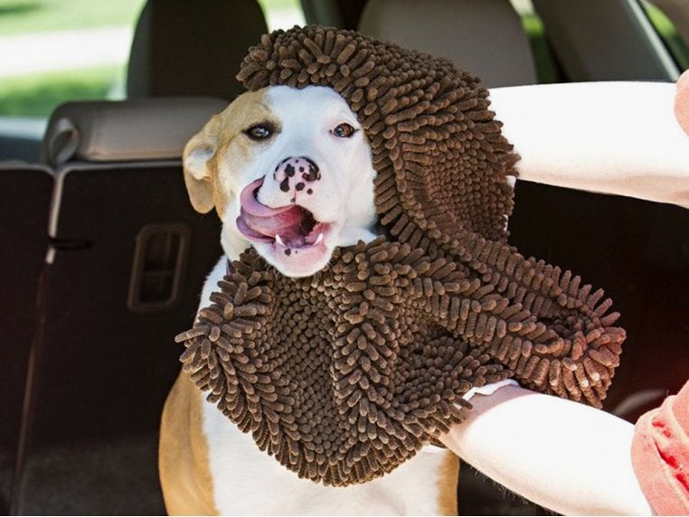 person using the towel to dry a dog