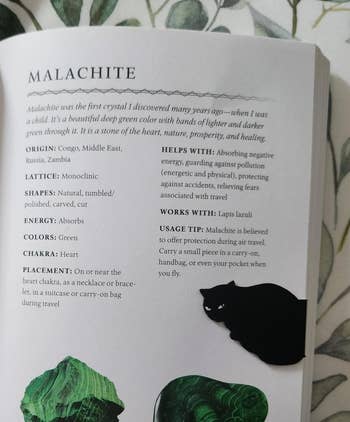 Post image 25