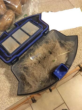 Reviewer photo showing dust and dirt the vacuum picked up