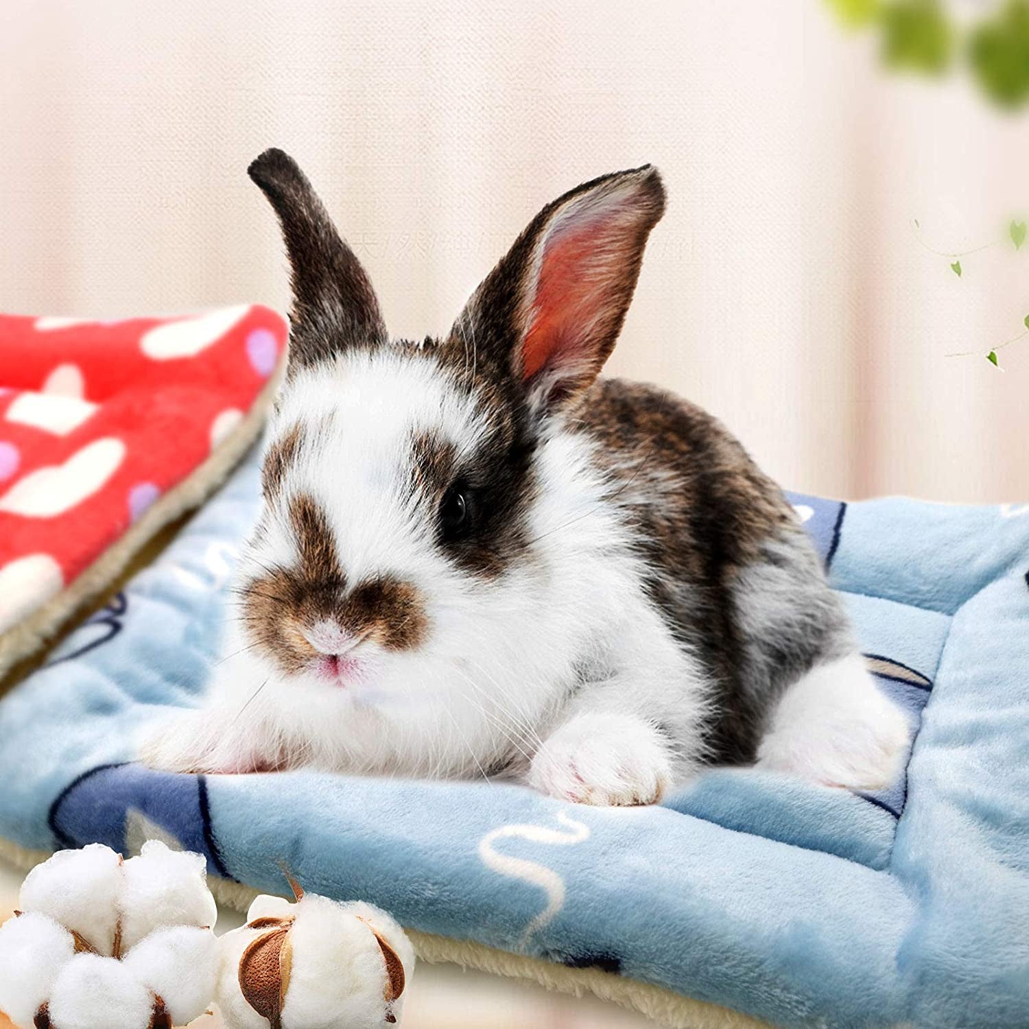 bunny on square mat