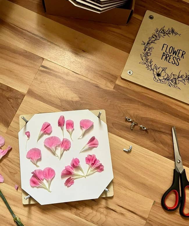pink petals laid on a flower pressing board 