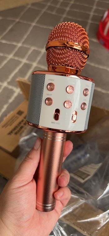 reviewer holding the mic in rose gold