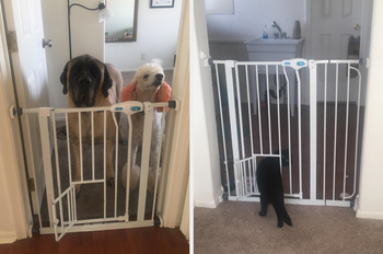 a white pet gate set up in a doorway, keeping dogs out while a cat is seen passing through a smaller door at the bottom