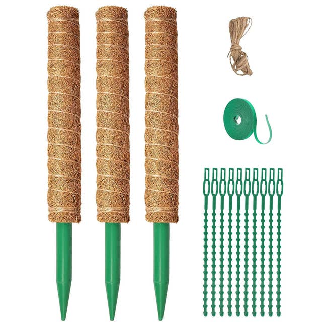 Post image 41
