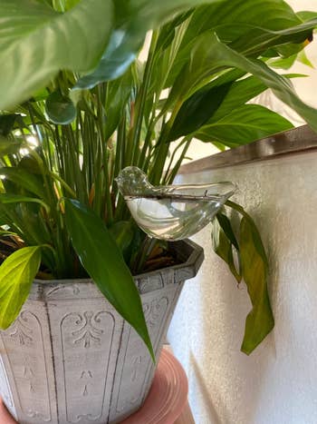 another glass bird placed in a potted plant