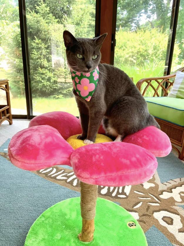a cat wearing a floral bandana on its neck and standing on the floral cat tree which is shaped like a pink daisy 