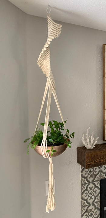Reviewer image of ivory planter