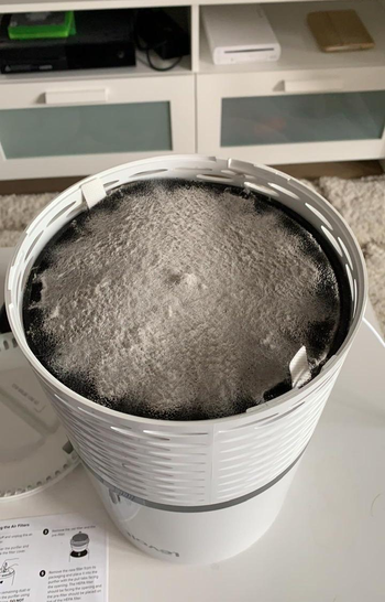 another reviewer photo sh all the dust in the air purifier